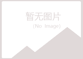 宁夏山柏造纸有限公司